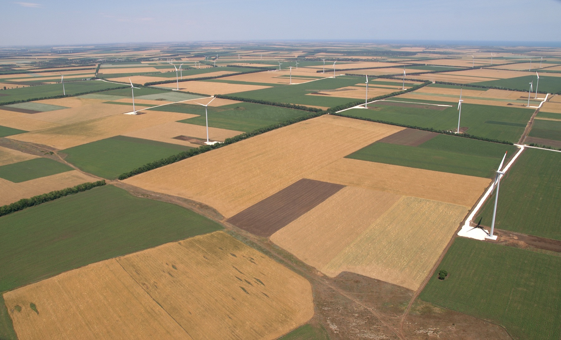 Aerial view of the St. Nikola Wind Farm — rows of wind turbines among the patchwork fields of the Dobrudzha plateau, with the Black Sea in the distance
